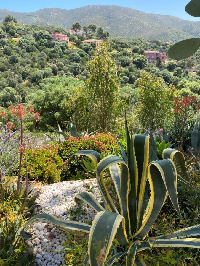 Villa Bella Salmagi - Surya Sardinia Holidays & Yoga Capitana Luaran gambar